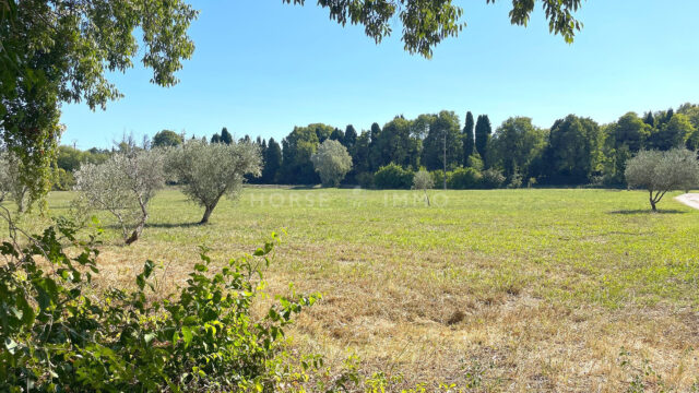 1696335223 VM2130 9 original 640x360 - Proche Salon de Provence - Domaine agricole sur près de 3 hecta